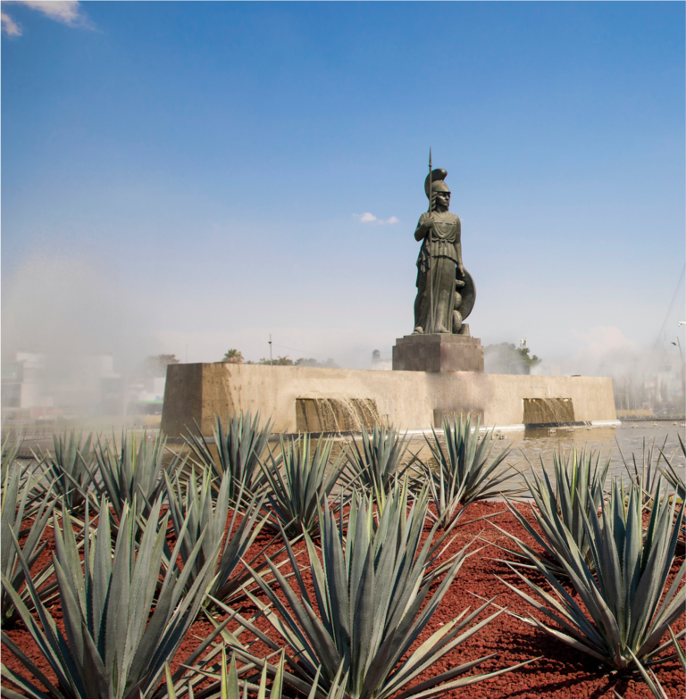 Imagen decorativa Jalisco Agaves